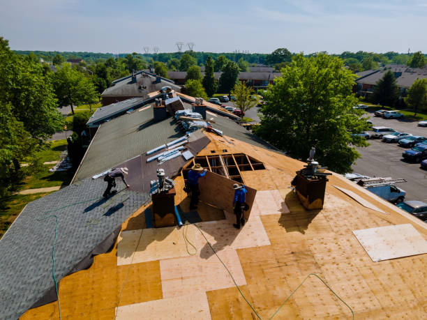 Quick and Trustworthy Emergency Roof Repair Services in Mount Pleasant, TN