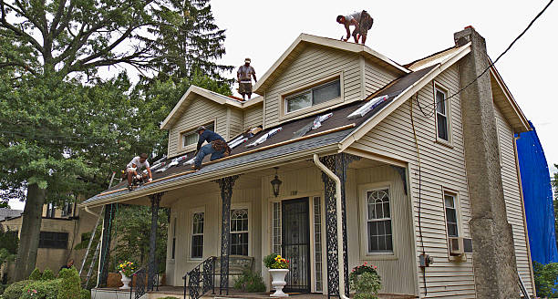 Best Roof Maintenance Services  in Mount Pleasant, TN