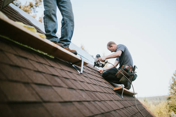 Professional Roofing Contractor in Mount Pleasant, TN
